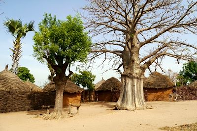 Sénégal - SEN005