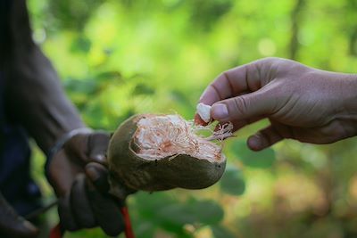 Duo partageant un fruit au cœur de la nature au Sénégal