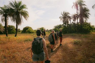 Groupe de randonneurs en marche sous les palmiers au Sénégal
