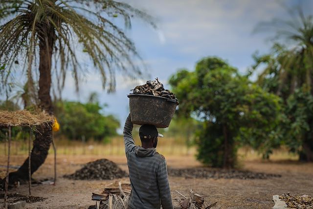 Découverte Sénégal