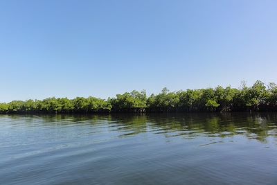 Sur le fleuve Casamance - Sénégal