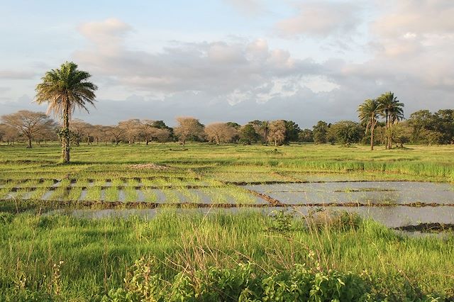 Randonnée Sénégal
