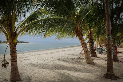 Duo profitant d’un hamac sous les cocotiers au Sénégal