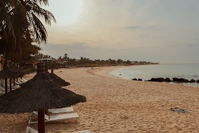 Plage avec transats et palmiers sur la côte au Sénégal