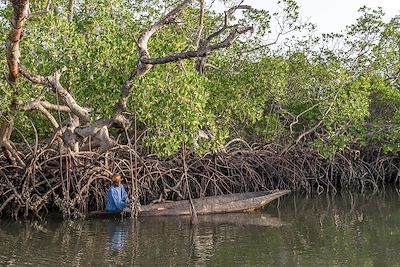 Au cœur de la Casamance en famille