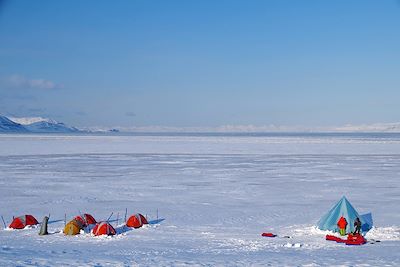 Voyage Sur les traces de l'ours 2