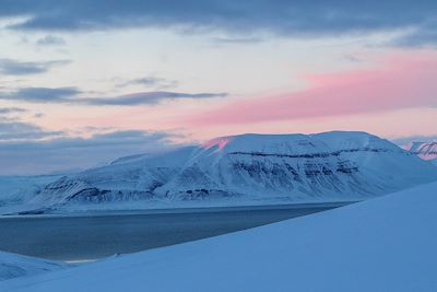 Templefjord - Spitzberg - Norvège