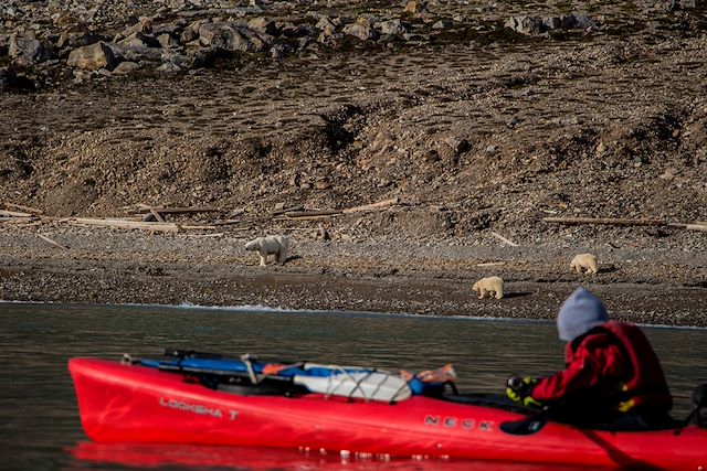 Kayak et canoë Spitzberg