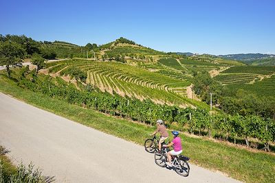 Voyage La Slovénie à vélo, des Alpes à la mer depuis Bled 2