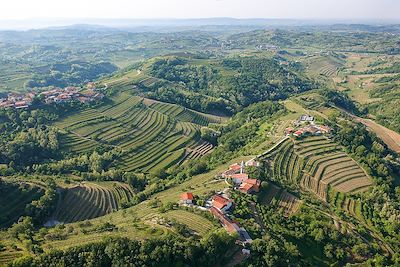 Goriska Brda - Slovénie