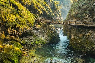© Jost Gantar / Visit Bled - Gorge de Vintgar - Slovénie Gorge de Vintgar - Slovénie