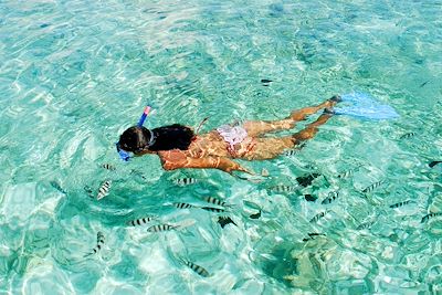 © Raymond Sahuquet / Seychelles Tourism Board - Seychelles Seychelles