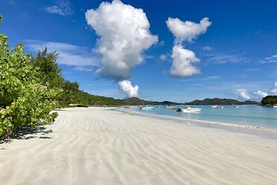 © Laurie Arnaud - Côte d'Or - Île de Praslin - Seychelles Côte d'Or - Île de Praslin - Seychelles