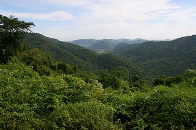 © Valerie Villet - Parc de Khao Yai - Thaïlande Parc de Khao Yai - Thaïlande
