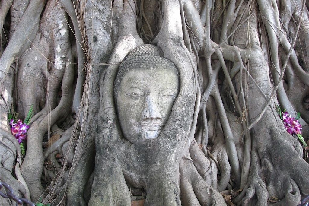 Voyage Temples, jungle et plages paradisiaques 2