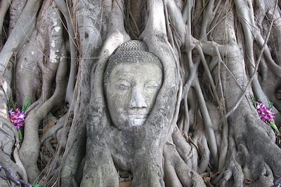 Voyage Temples, jungle et plages paradisiaques 2