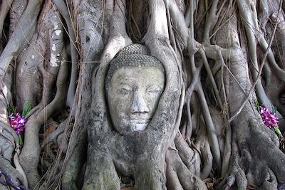 Ayutthaya - Thailande