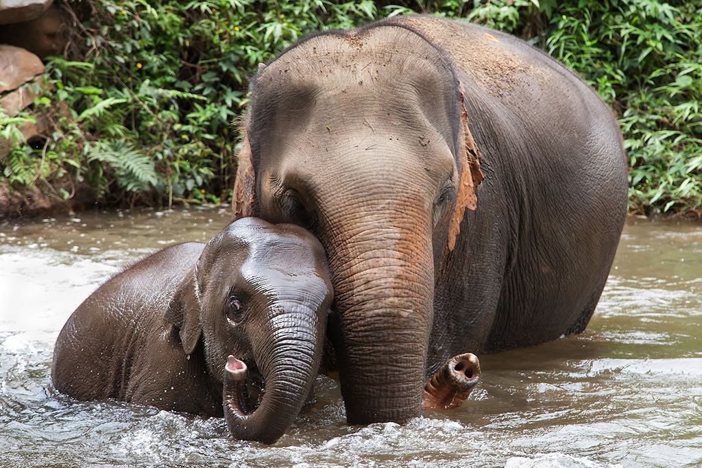 Voyage La Thaïlande au fil de l'eau 1