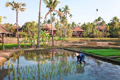 Voyage La Thaïlande à vélo, de Chiang Mai à Bangkok 3