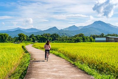 © Kitzcorner / iStock - Femme faisant du vélo dans une rizière - Thailande Femme faisant du vélo dans une rizière - Thailande