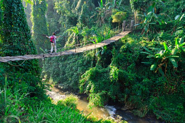 Pont suspendu dans la forêt tropicale du Chiang Mai -Thaïlande