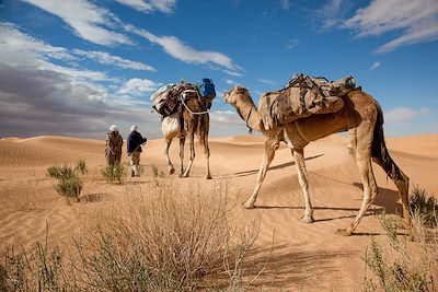 Voyage Oasis et dunes du Grand Erg oriental 1