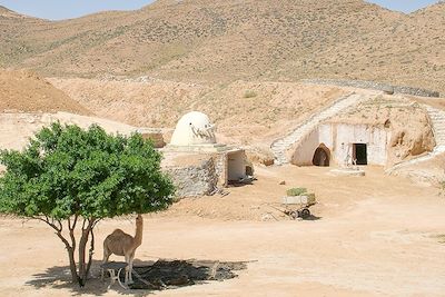 Voyage Villages, dunes et chameliers en herbe 2