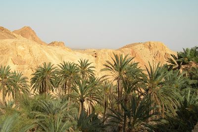 Voyage Villages, dunes et chameliers en herbe 1