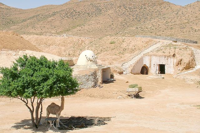 Voyage Villages, dunes et chameliers en herbe