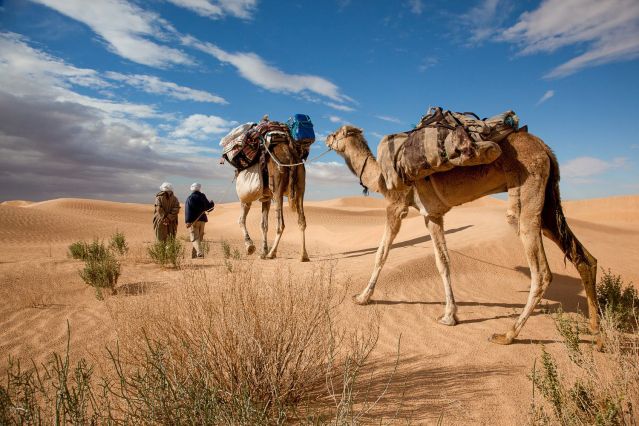 Voyage Rando et yoga dans le désert tunisien 1