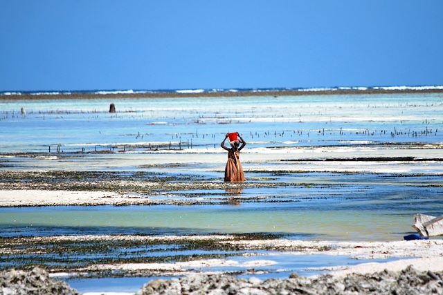Voyage Safari en Tanzanie et rêveries à Zanzibar 