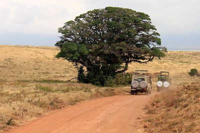 Sentier du Serengeti - Tanzanie