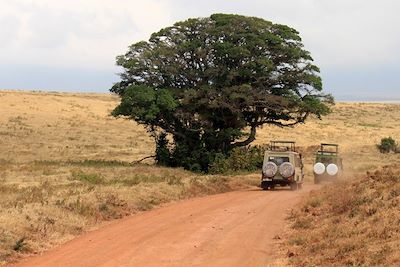 © Anaïs Breuil - Sentier du Serengeti - Tanzanie Sentier du Serengeti - Tanzanie