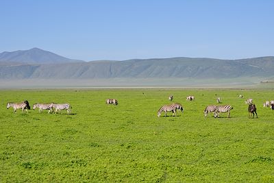 © Léopard Tours - Cratère du Ngorongoro - Tanzanie Cratère du Ngorongoro - Tanzanie