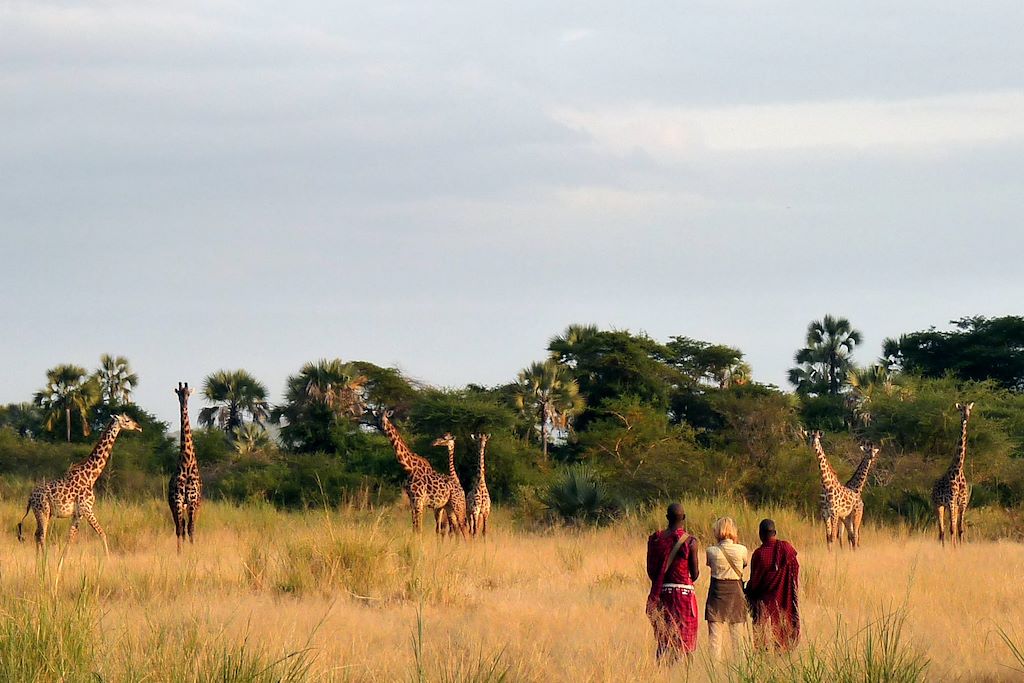 Randonnées volcans, safari Serengeti et Ngorongoro