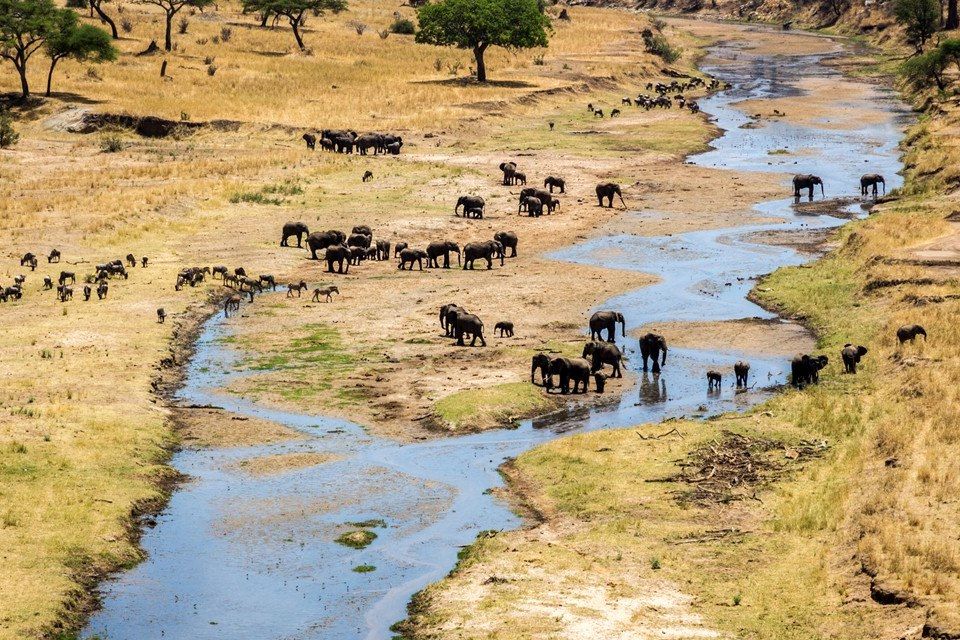 Voyage Randonnées volcans, safari Serengeti et Ngorongoro 2