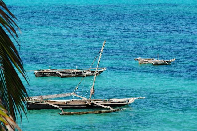 Voyage Du bush tanzanien aux plages de Zanzibar