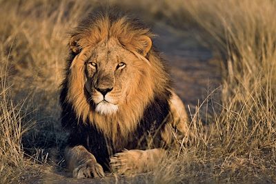 Voyage Au cœur de la grande migration du Serengeti 2