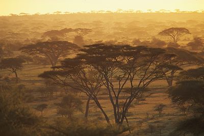 Voyage Ngorongoro