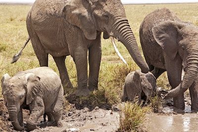 © Aminata Konte - Parc national du Serengeti - Tanzanie Parc national du Serengeti - Tanzanie
