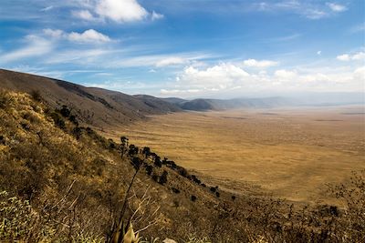 © Fabien Guenzi - Cratère du Ngorongoro - Tanzanie Cratère du Ngorongoro - Tanzanie