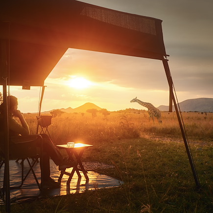 Safari