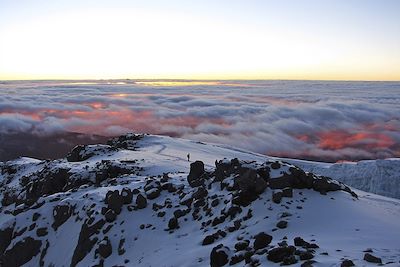 Voyage  Kilimandjaro et Mont Meru