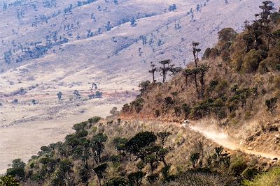 Cratère du Ngorongoro - Tanzanie