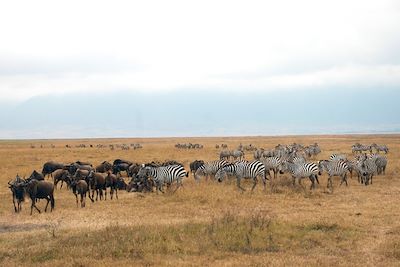 Cratère du Ngorongoro - Vallée du grand rift - Tanzanie