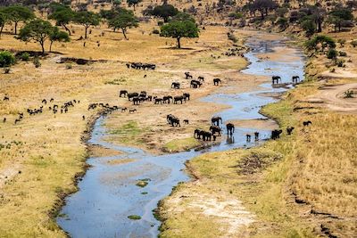 Safari en véhicule Tanzanie