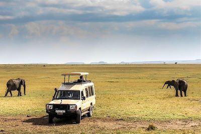 Lemala Ewanjan - Serengeti Centre/Seronera - Tanzanie