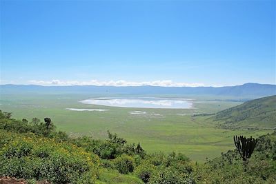 Cratère du Ngorongoro - Tanzanie