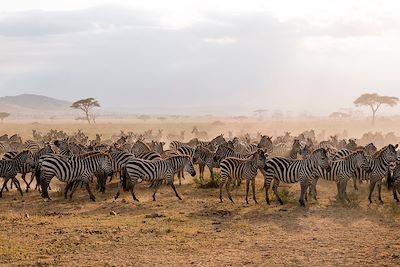 Voyage  Lac Manyara