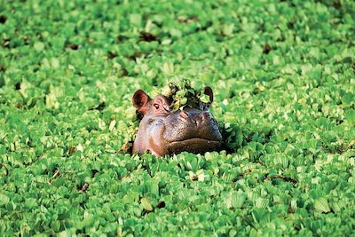 Voyage  Lac Manyara